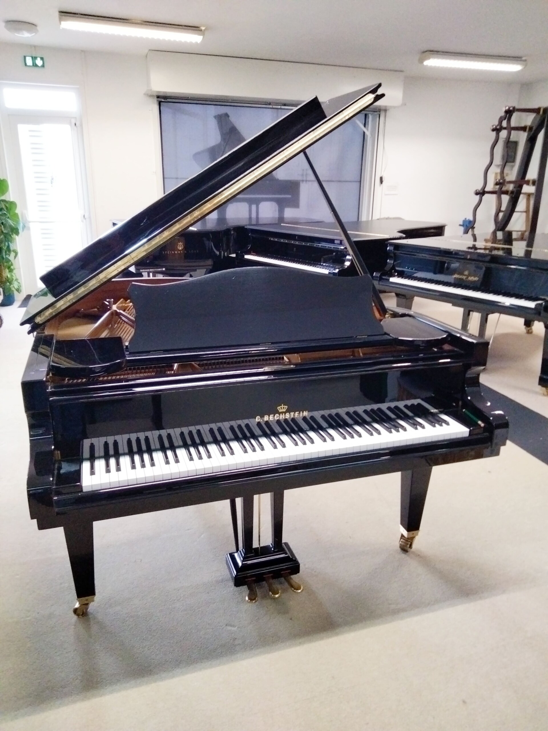 2025 10 05 BECHSTEIN_MODL__61-scaled